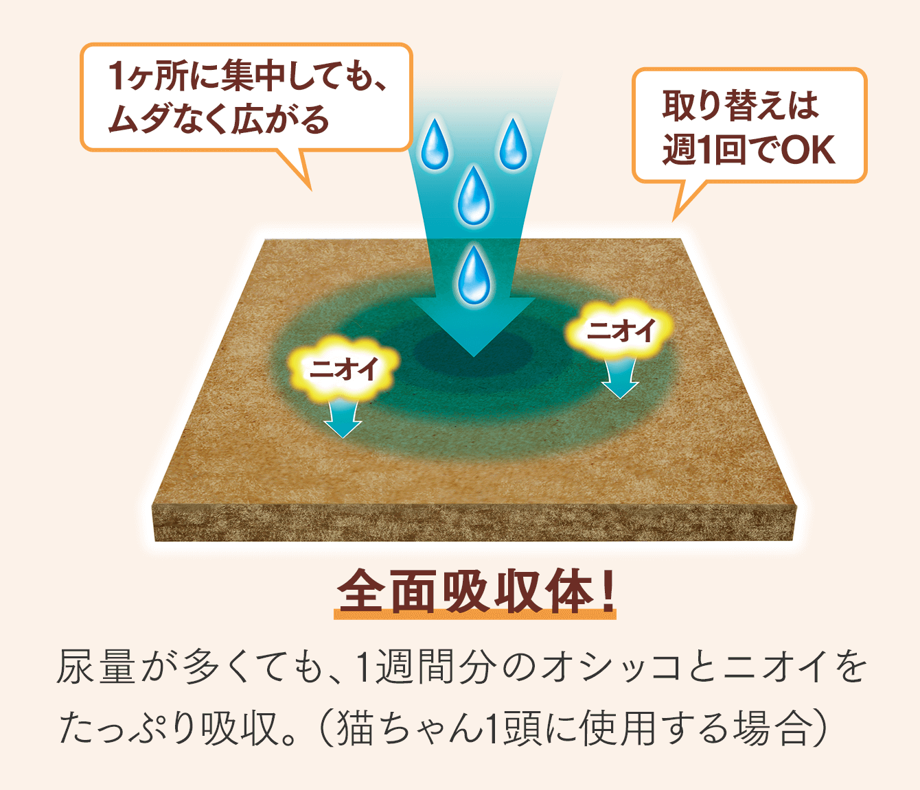 全面吸収体！尿量が多くても、1週間分のオシッコとニオイをたっぷり吸収。（猫ちゃん1頭に使用する場合）