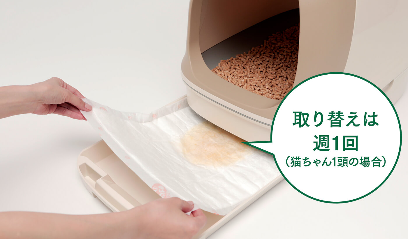 シートを取り替えている様子