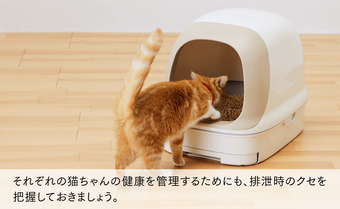 それぞれの猫ちゃんの健康を管理するためにも、排泄時のクセを把握しておきましょう。