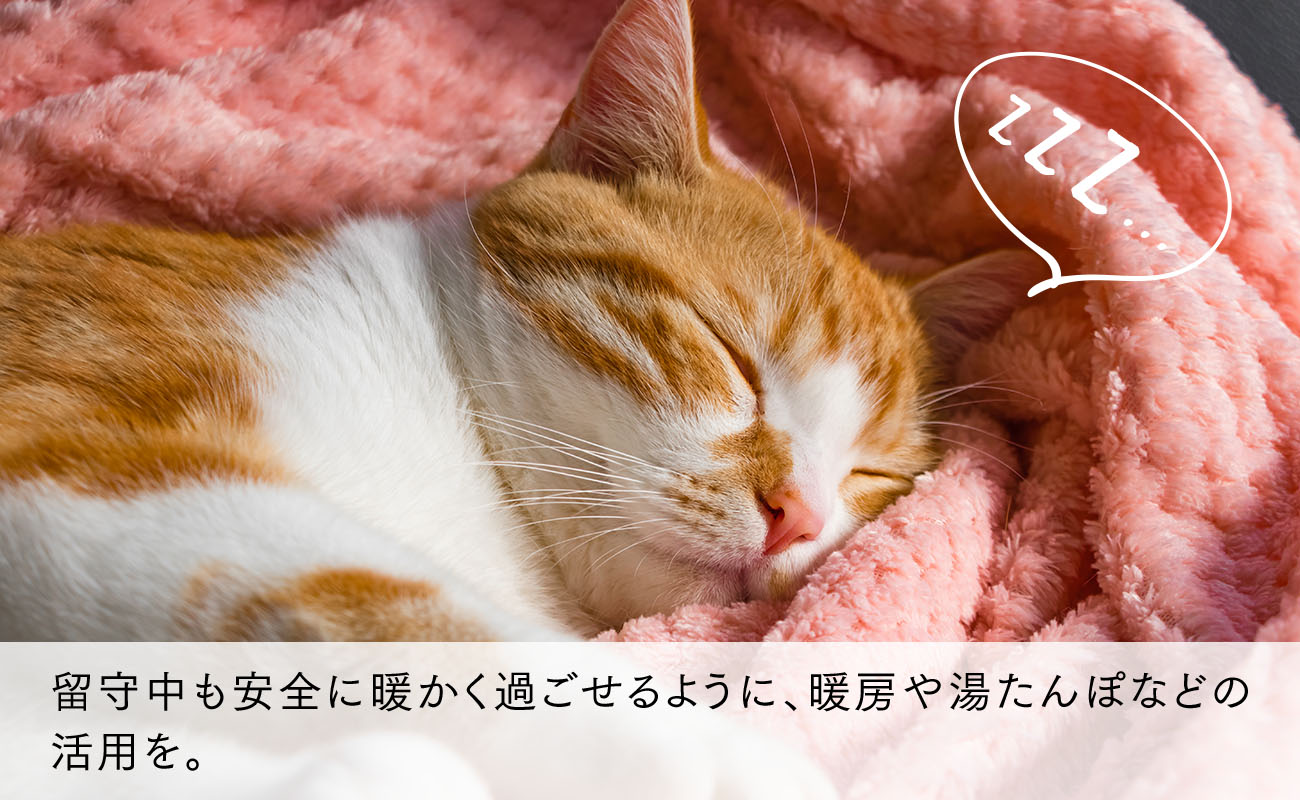 留守中も安全に暖かく過ごせるように、暖房や湯たんぽなどの活用を。