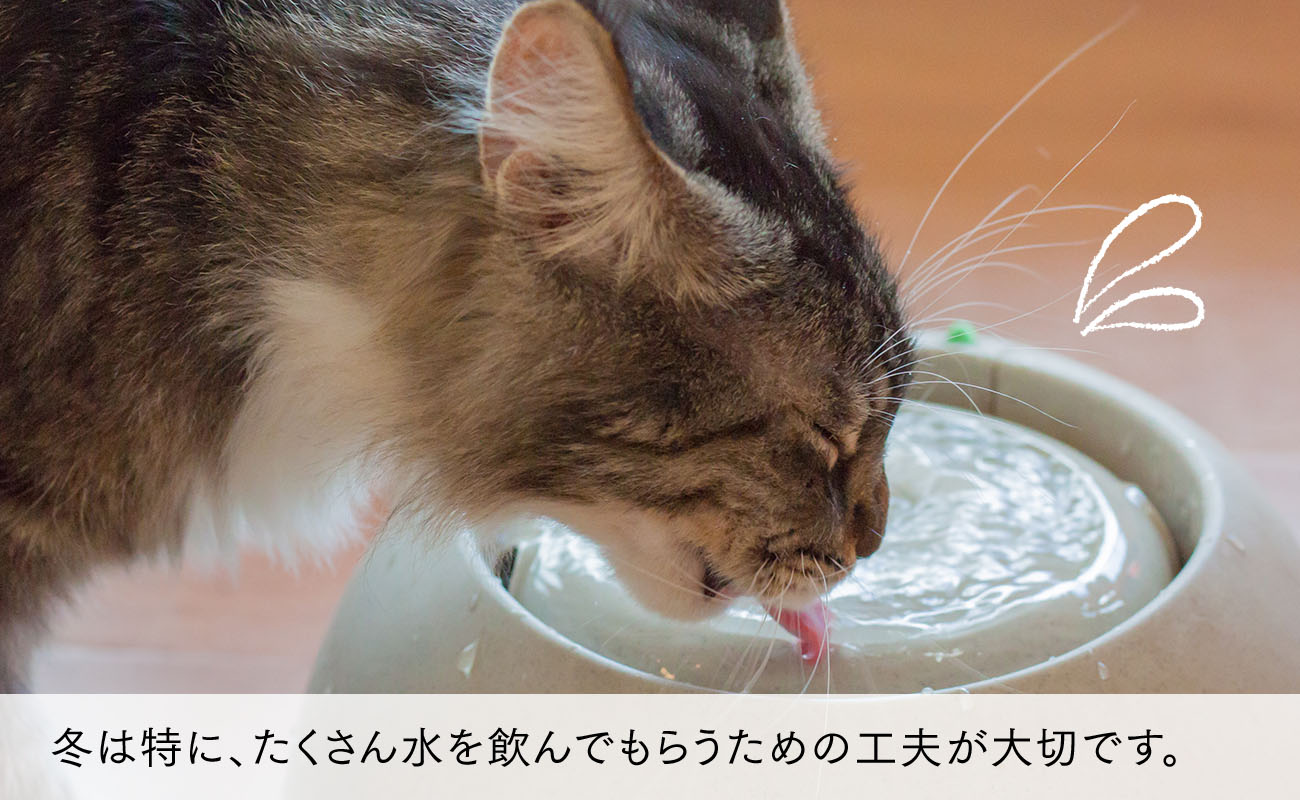 冬は特に、たくさん水を飲んでもらうための工夫が大切です。