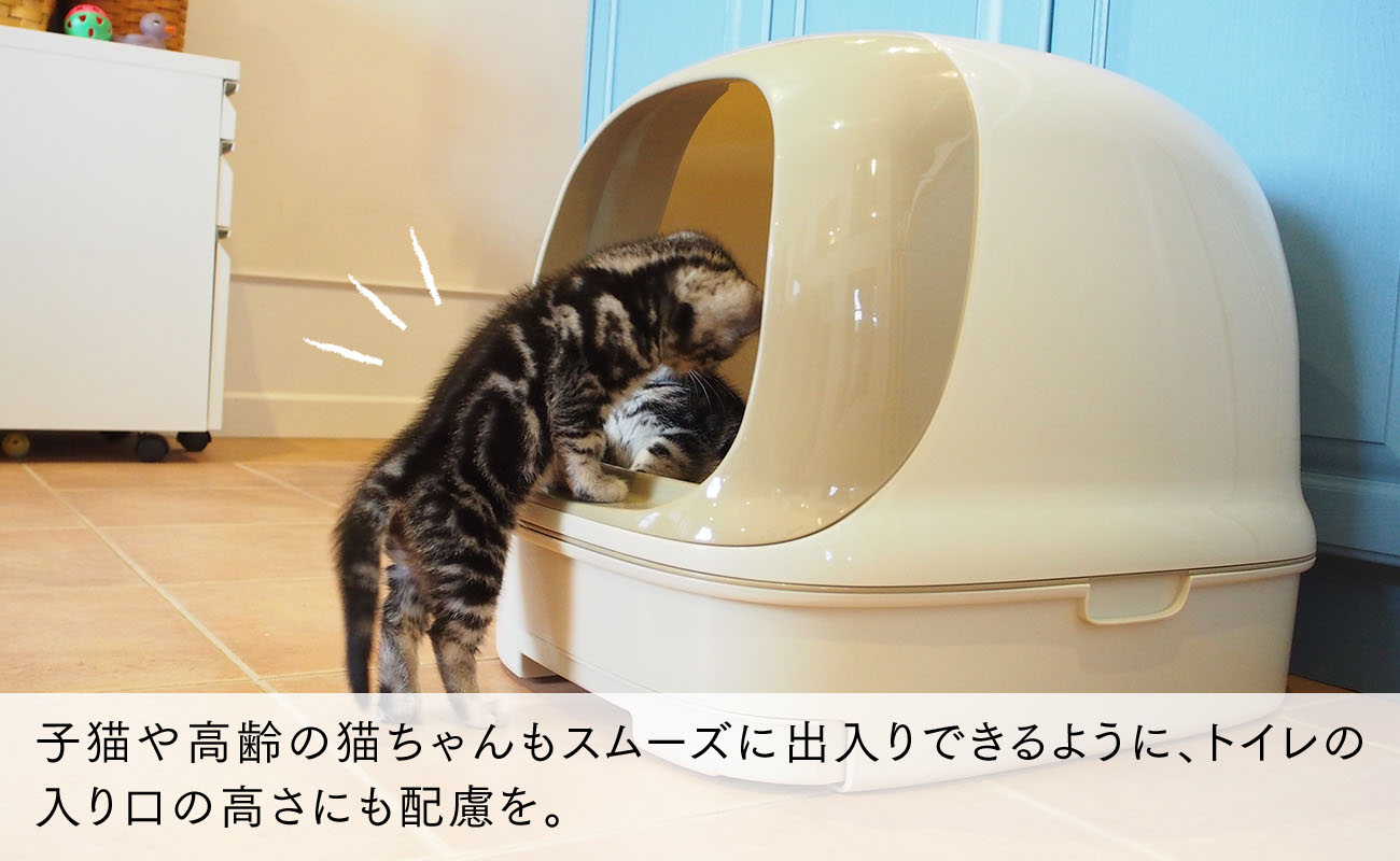 猫 冬は寒さ対策が大事！愛猫の冬の健康を守る３つのポイント｜ニャンとも清潔トイレ｜エステー株式会社