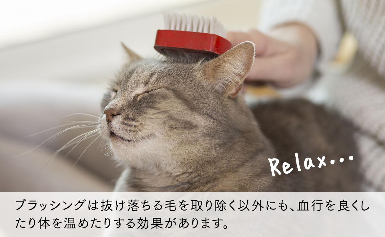 ブラッシングは抜け落ちる毛を取り除く以外にも、血行を良くしたり体を温めたりする効果があります。