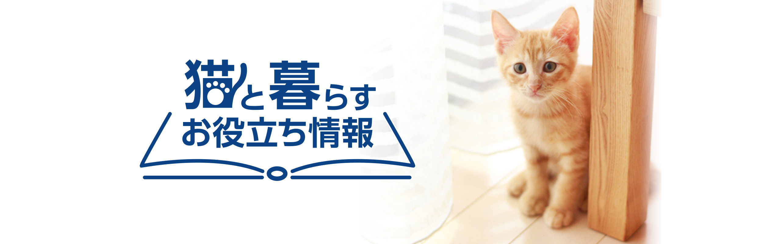 猫と暮らすお役立ち情報