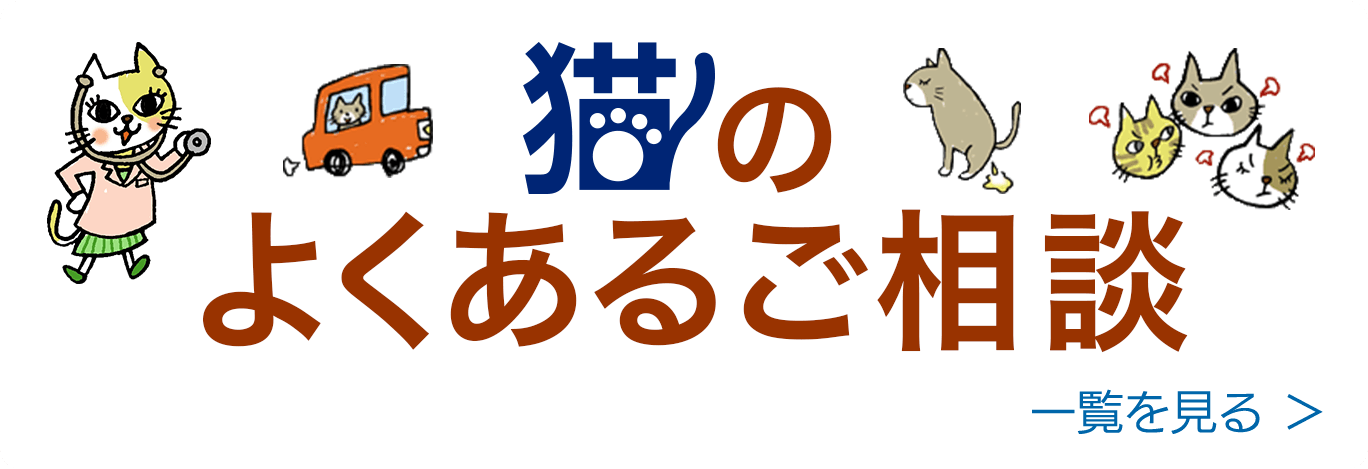 猫のよくあるご相談　一覧を見る