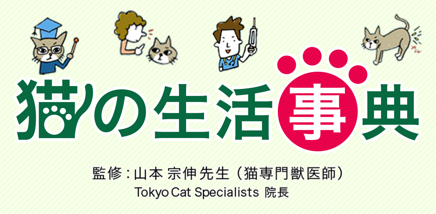 猫の生活事典　監修山本宗伸先生（猫専門獣医師）TokyoCatSpecialists院長