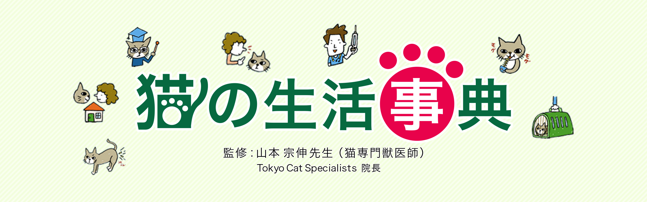猫の生活事典 監修山本宗伸先生(猫専門獣医師)TokyoCatSpecialists院長