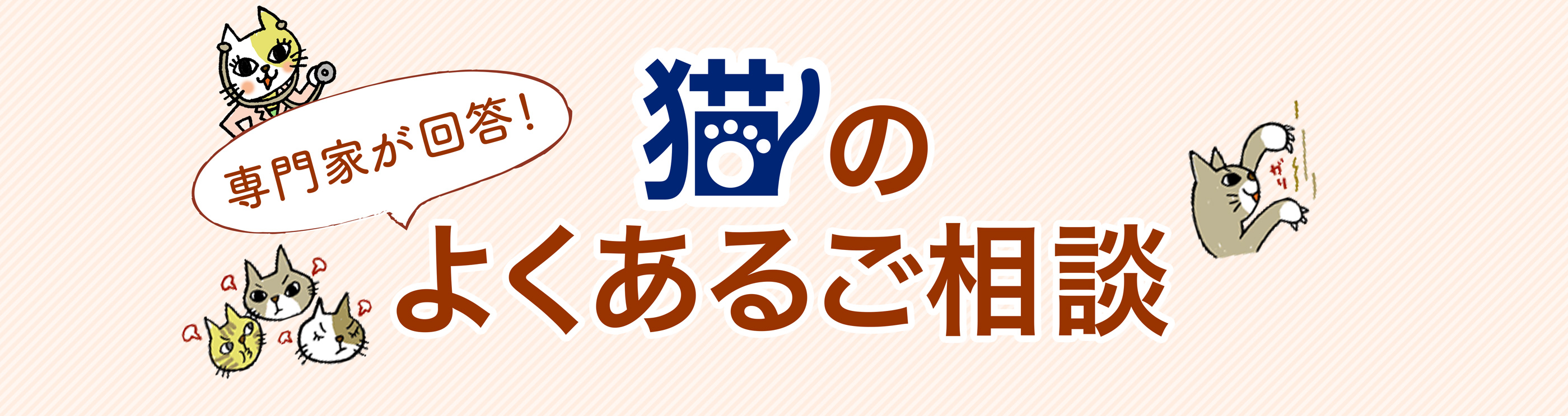 獣医師が回答!猫のよくあるご相談/回答:山本宗伸先生(猫専門獣医師)Tokyo Cat Specialists 院長