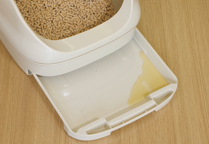 ニャンとも清潔トイレでシートを敷かずに、トレーにオシッコをためた様子