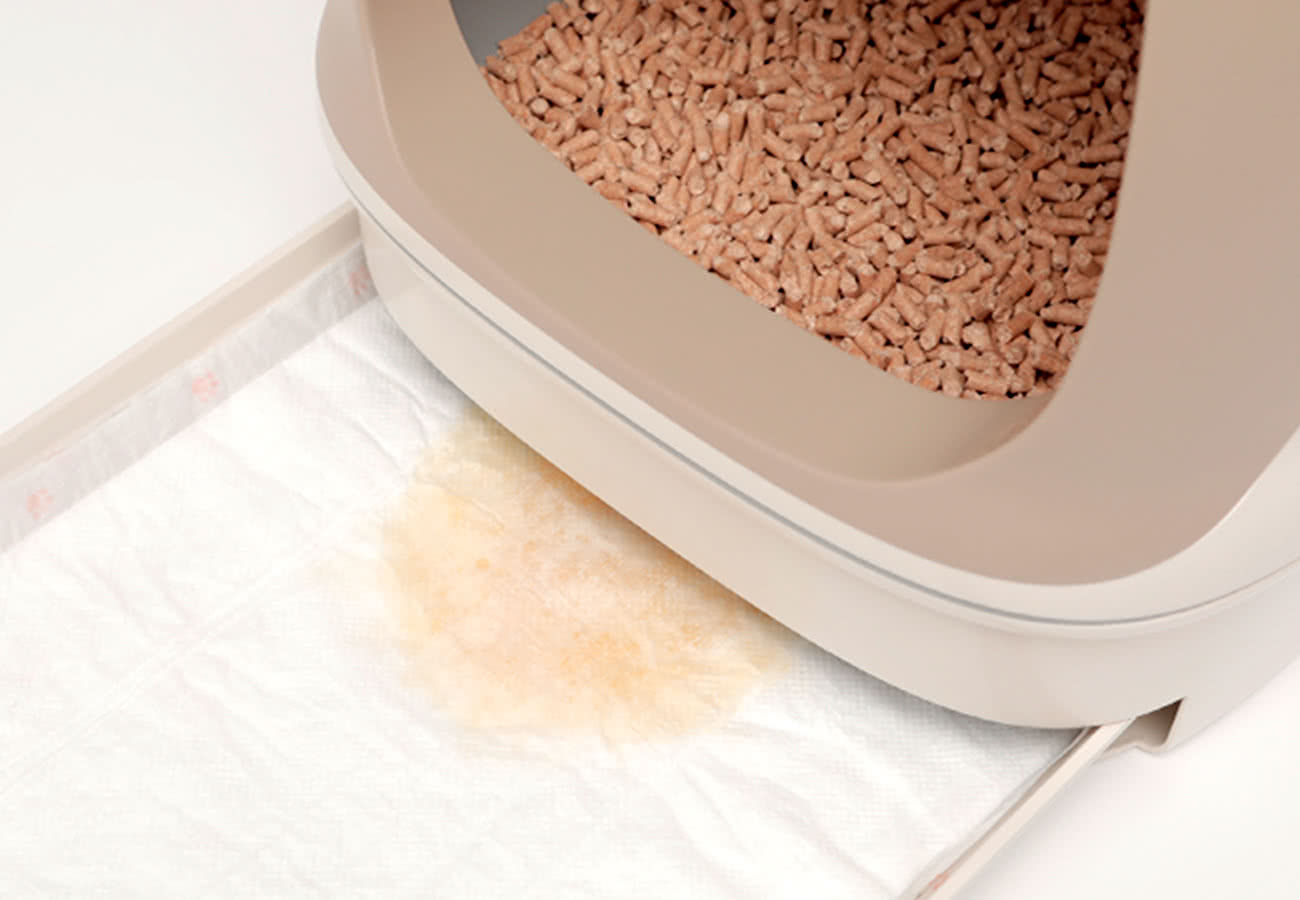 ニャンともの尿の色が確認しやすい白色シートの写真