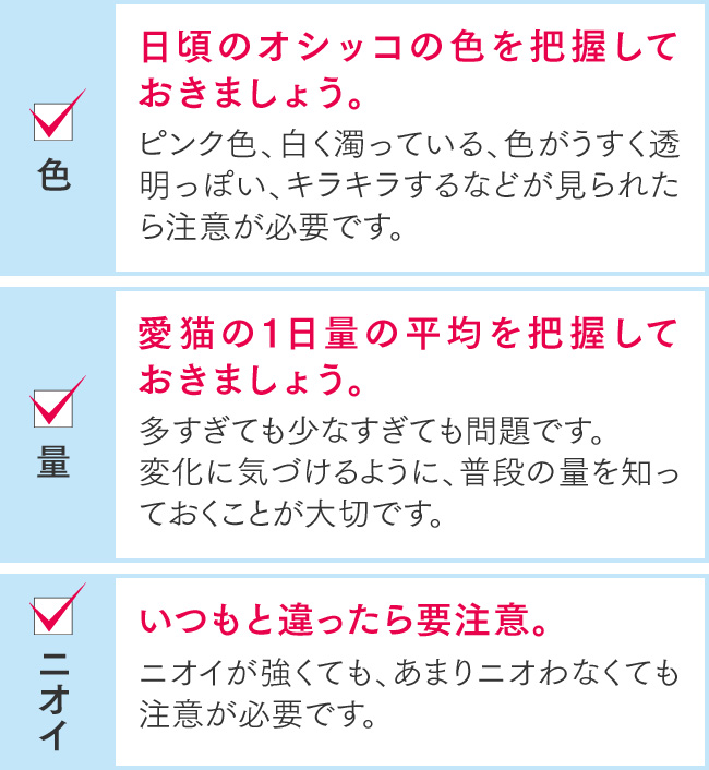 「色:日頃のオシッコの色を把握しておきましょう」「量:愛猫の1日量の平均を把握しておきましょう」「ニオイ:いつもと違ったら要注意」