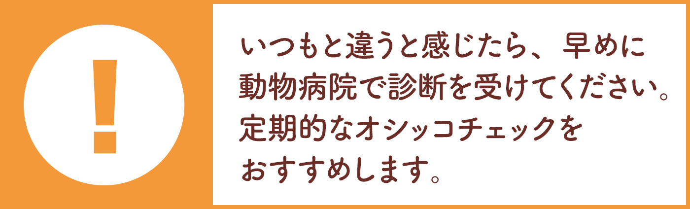いつもと違うと感じたら、早めに動物病院で診断を受けてください。定期的なオシッコチェックをおすすめします。