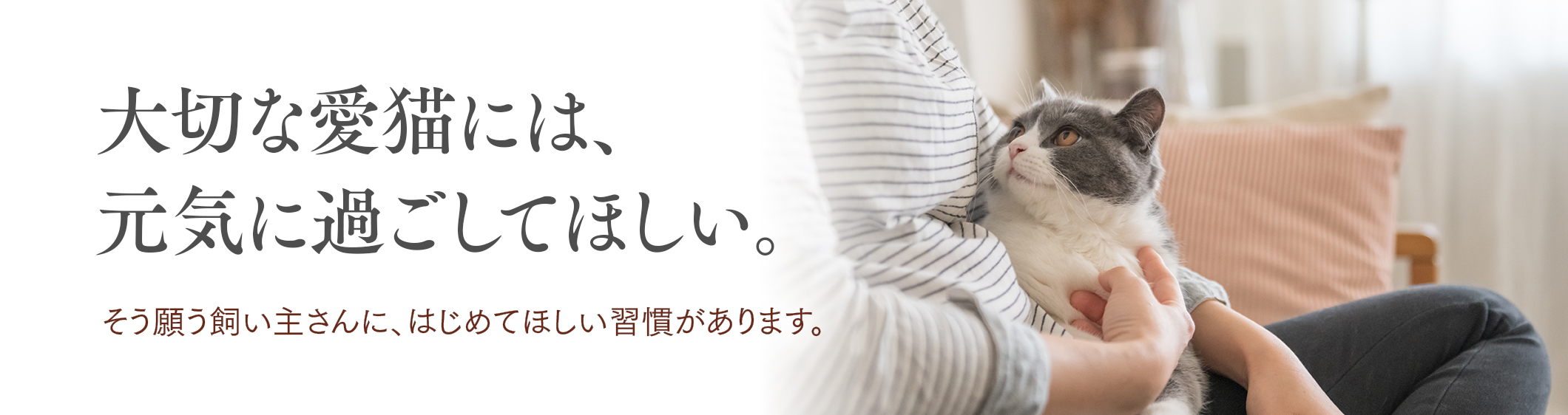 大切な愛猫には、元気に過ごしてほしい。そう願う飼い主さんに、はじめてほしい習慣があります。