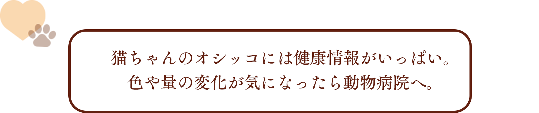 猫ちゃんのオシッコには健康情報がいっぱい。色や量の変化が気になったら動物病院へ。