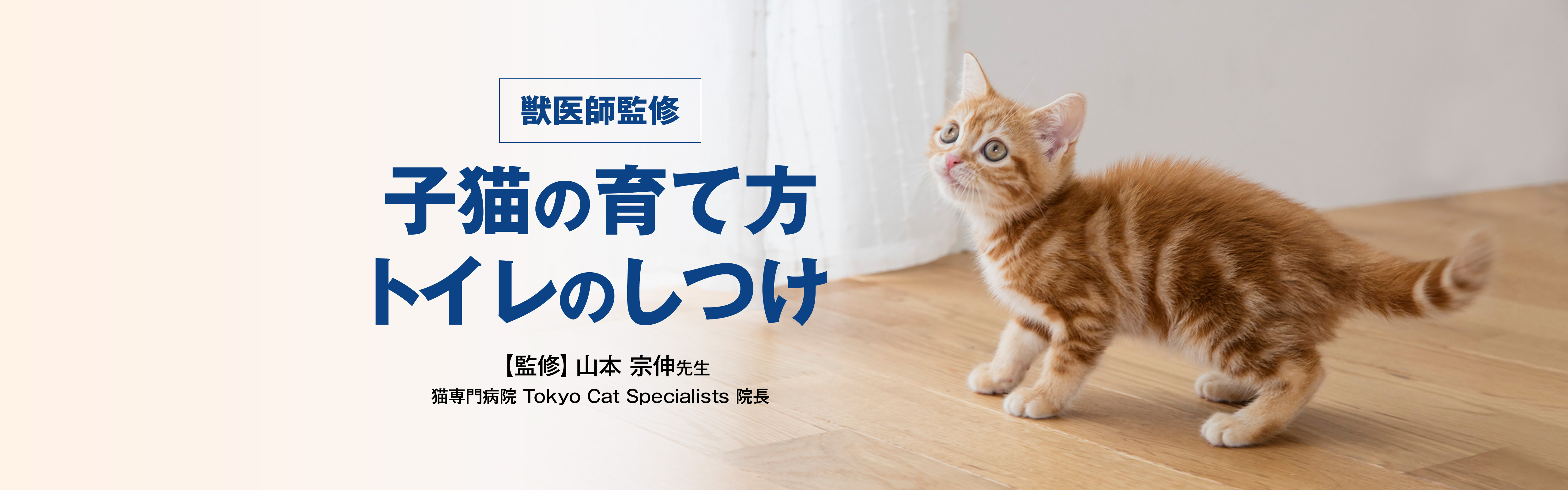 子猫の育て方【トイレのしつけ】監修 猫専門病院 Tokyo Cat Specialists 院長 山本 宗伸先生