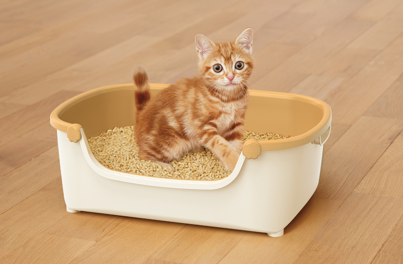 793　専用確認中です！　　子猫の写真とビーズ3個セット 座っている 子猫 の像 キトン 置物 ガーデニング 庭 ねこ 猫