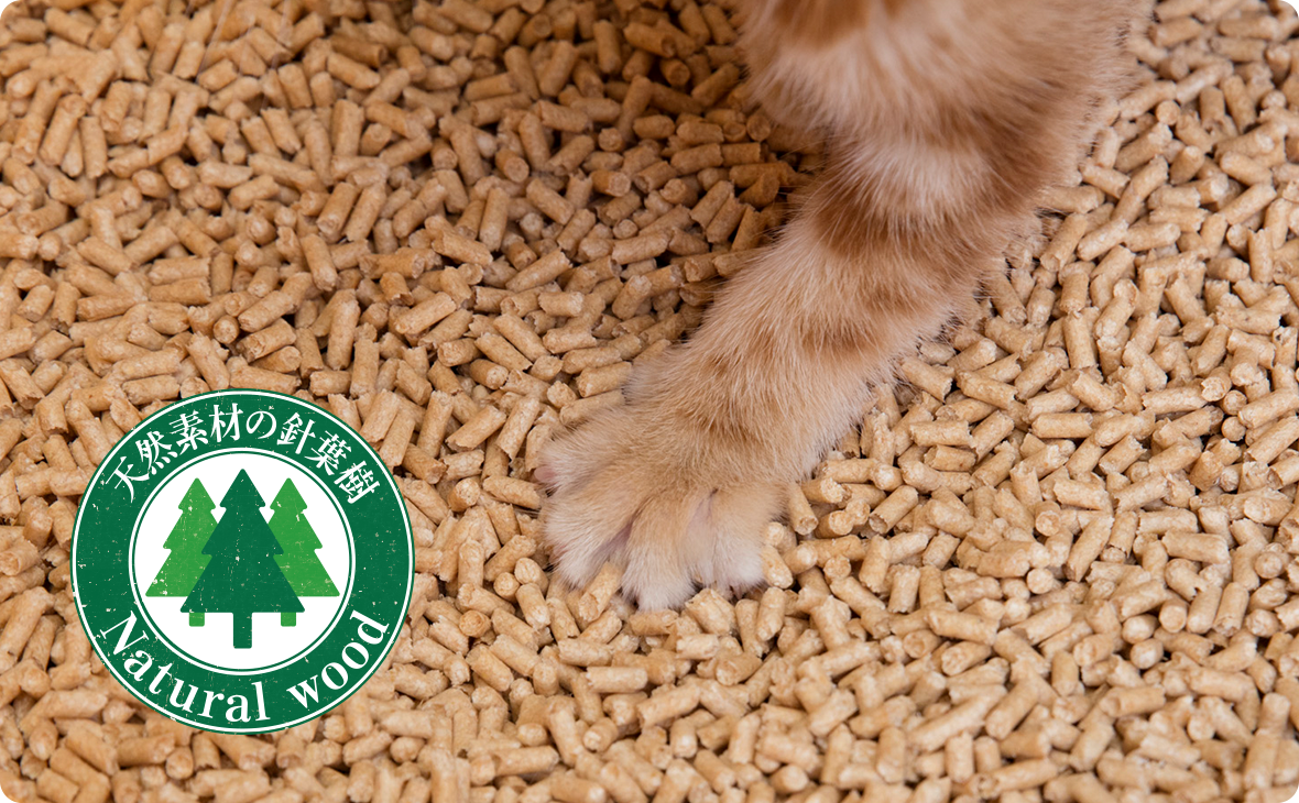 子ねこが「すいすいコンパクト」の中でチップをかいている足元の様子