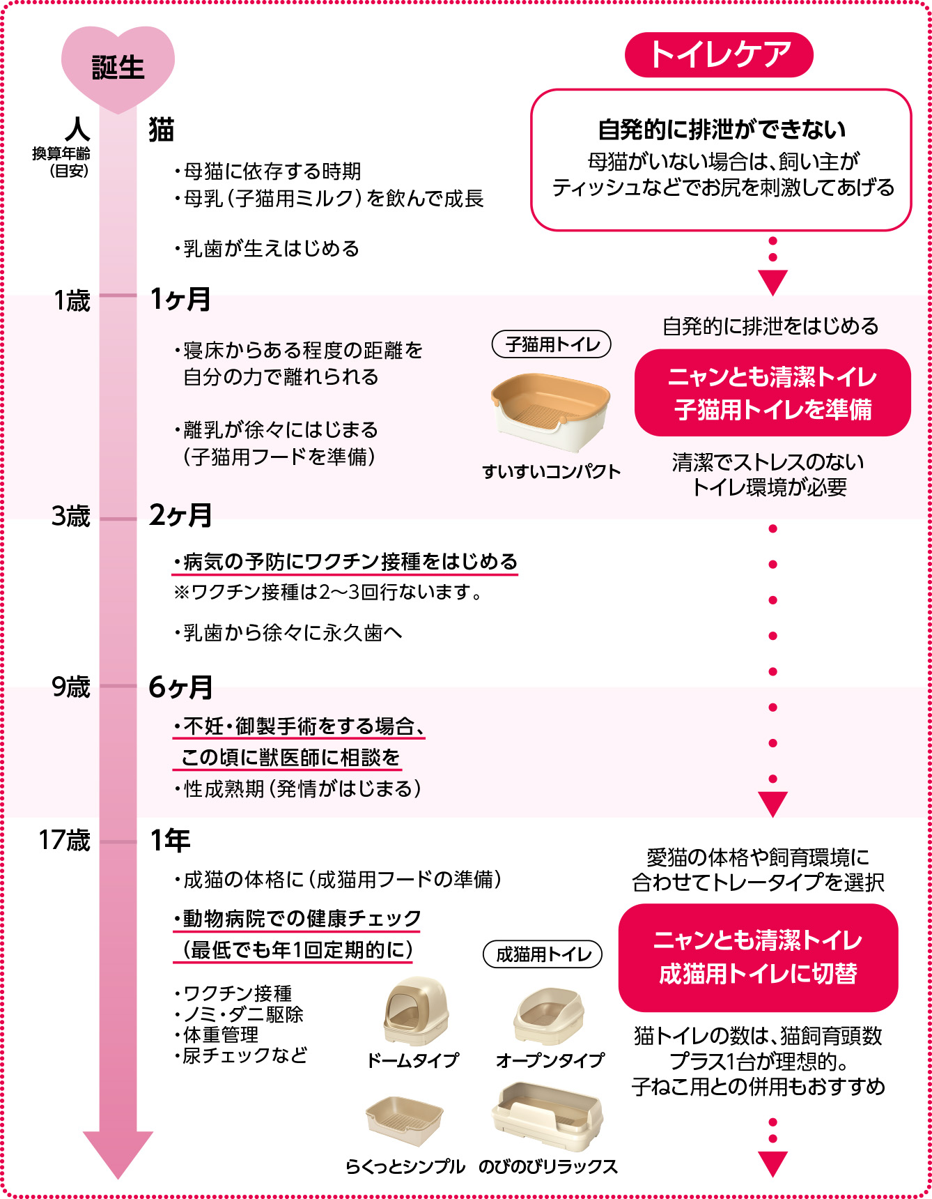 子猫の成長に合わせたトイレケア