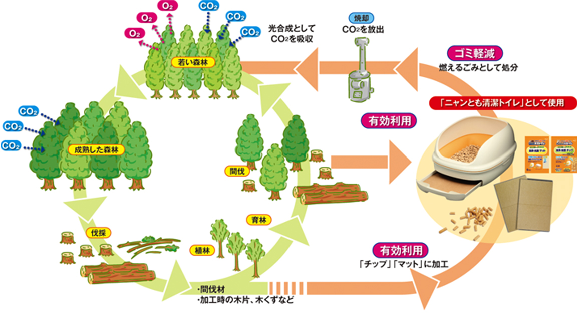 間伐材や加工時の木片、木くずなどを有効利用し、「チップ」「マット」に加工。「ニャンとも清潔トイレ」 として使用。 使用後の「チップ」「マット」は燃えるごみとして処分されます。