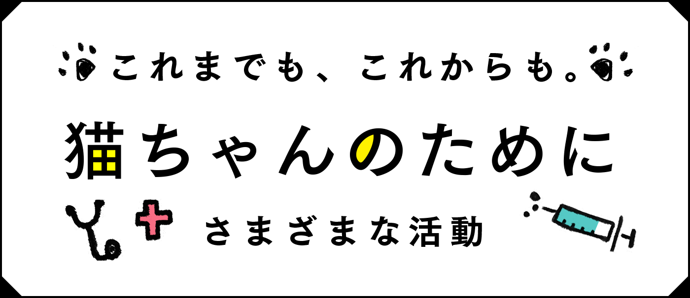 これまでも、これからも。猫ちゃんのためにさまざまな活動
