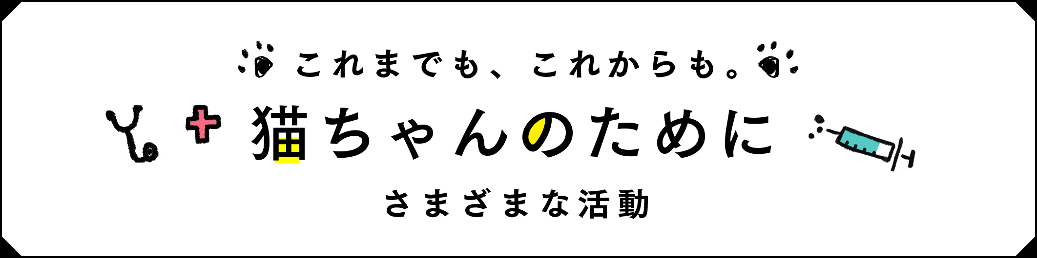 これまでも、これからも。猫ちゃんのためにさまざまな活動
