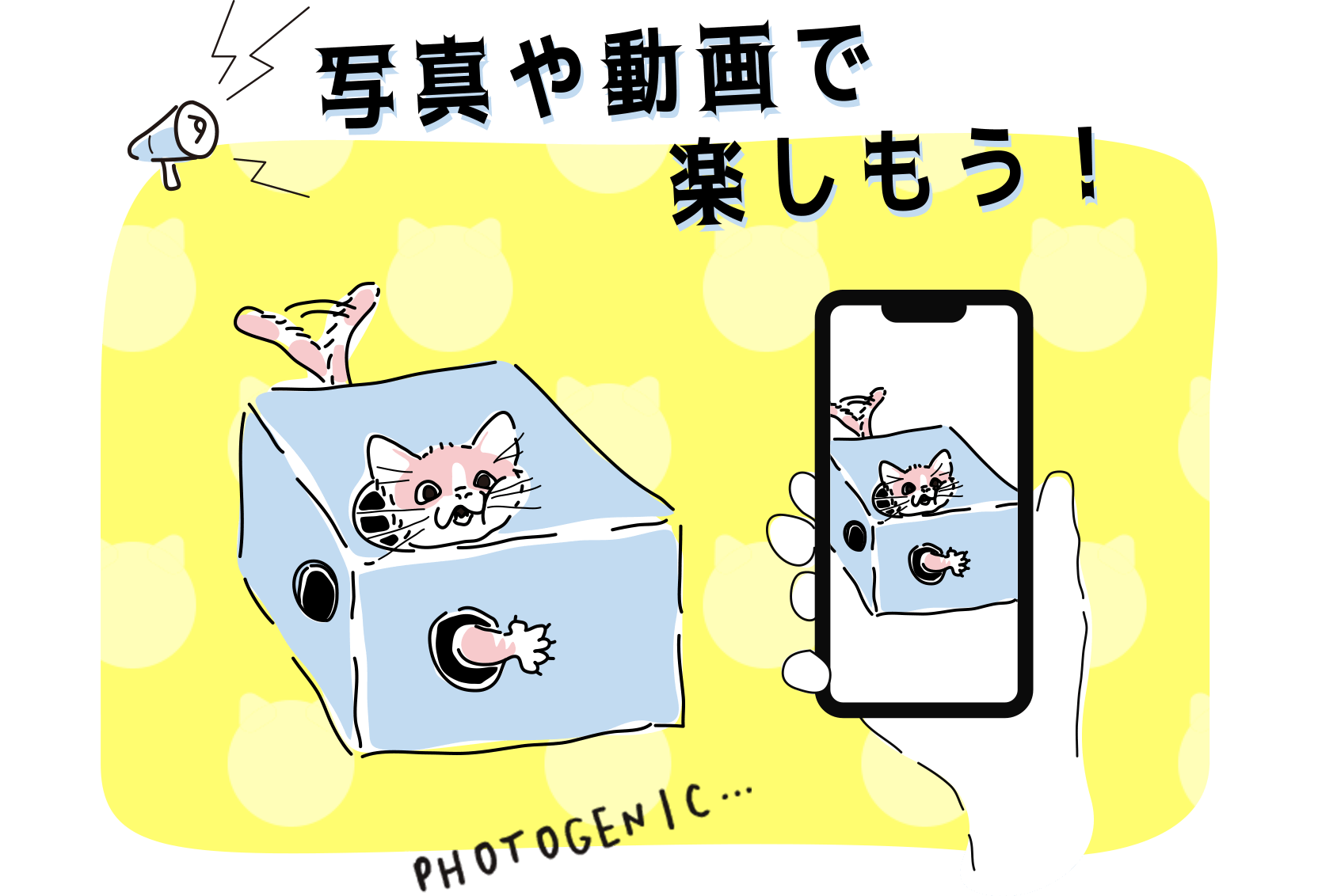 猫ちゃんが箱で遊んでいる様子を写真や動画に撮って楽しもう！