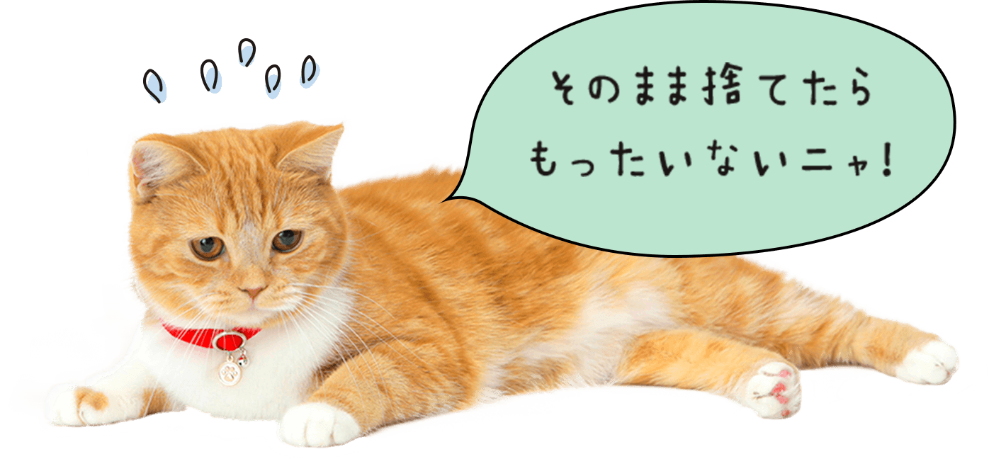 そのまま捨てたらもったいないニャ！