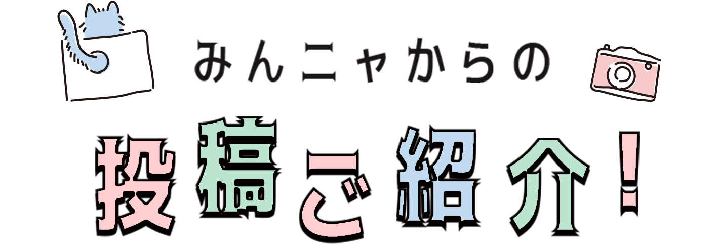 みんニャからの投稿ご紹介！