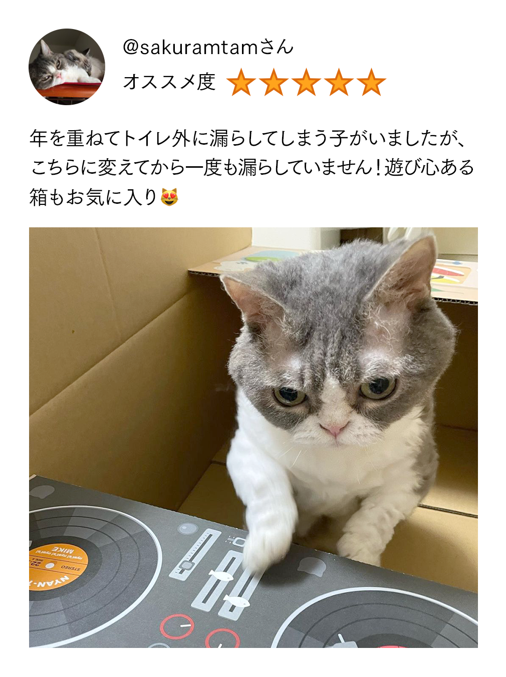 @sakuramtamさん 年を重ねてトイレ外に漏らしてしまう子がいましたが、こちらに変えてから一度も漏らしていません！遊び心ある箱もお気に入り