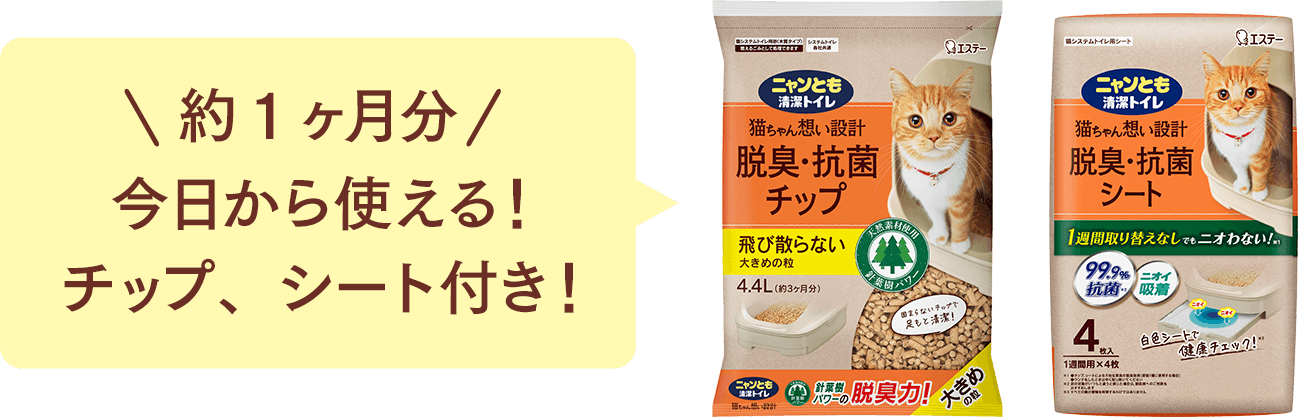 約1ヶ月分 今日から使える！チップ、シート付き！
