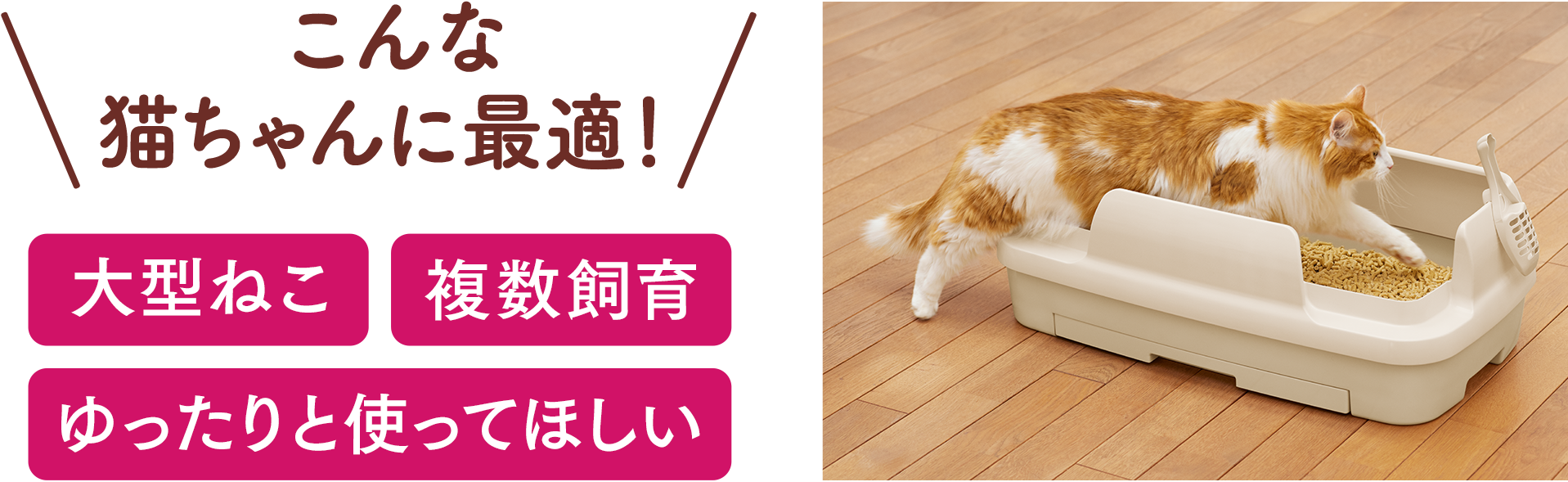 こんな猫ちゃんに最適！大型ねこ、複数飼育、ゆったりと使ってほしい