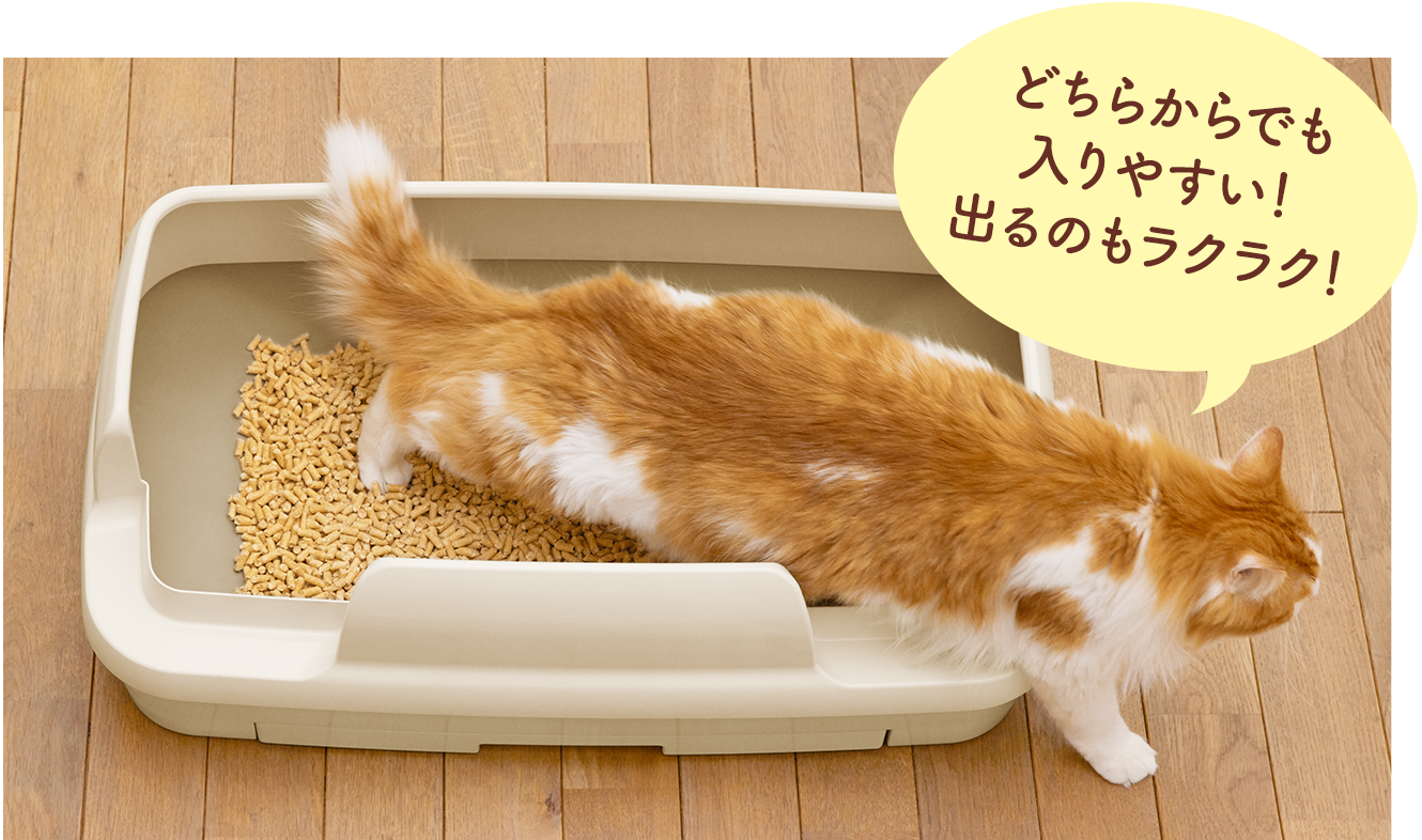 大型猫がトイレから出る様子。2カ所の出入口どちらからでも入りやすく出るのもラクラク！