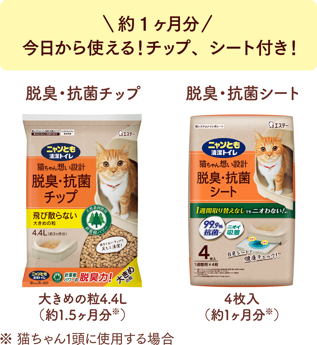 今日から使える！約1ヶ月分のチップ、シート付き。
