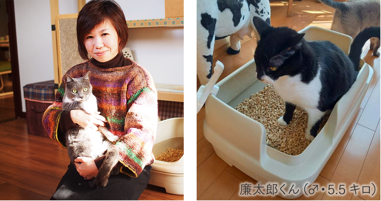 斉藤さん宅で愛猫廉太郎くん5.5キロがのびのびリラックス（トイレ）を使っている様子