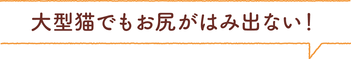 大型猫でもお尻がはみ出ない！