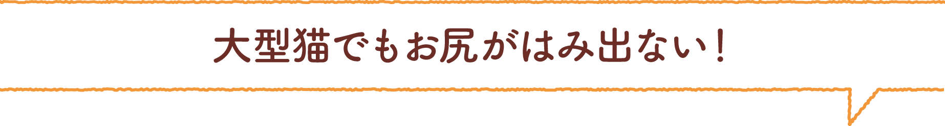大型猫でもお尻がはみ出ない！
