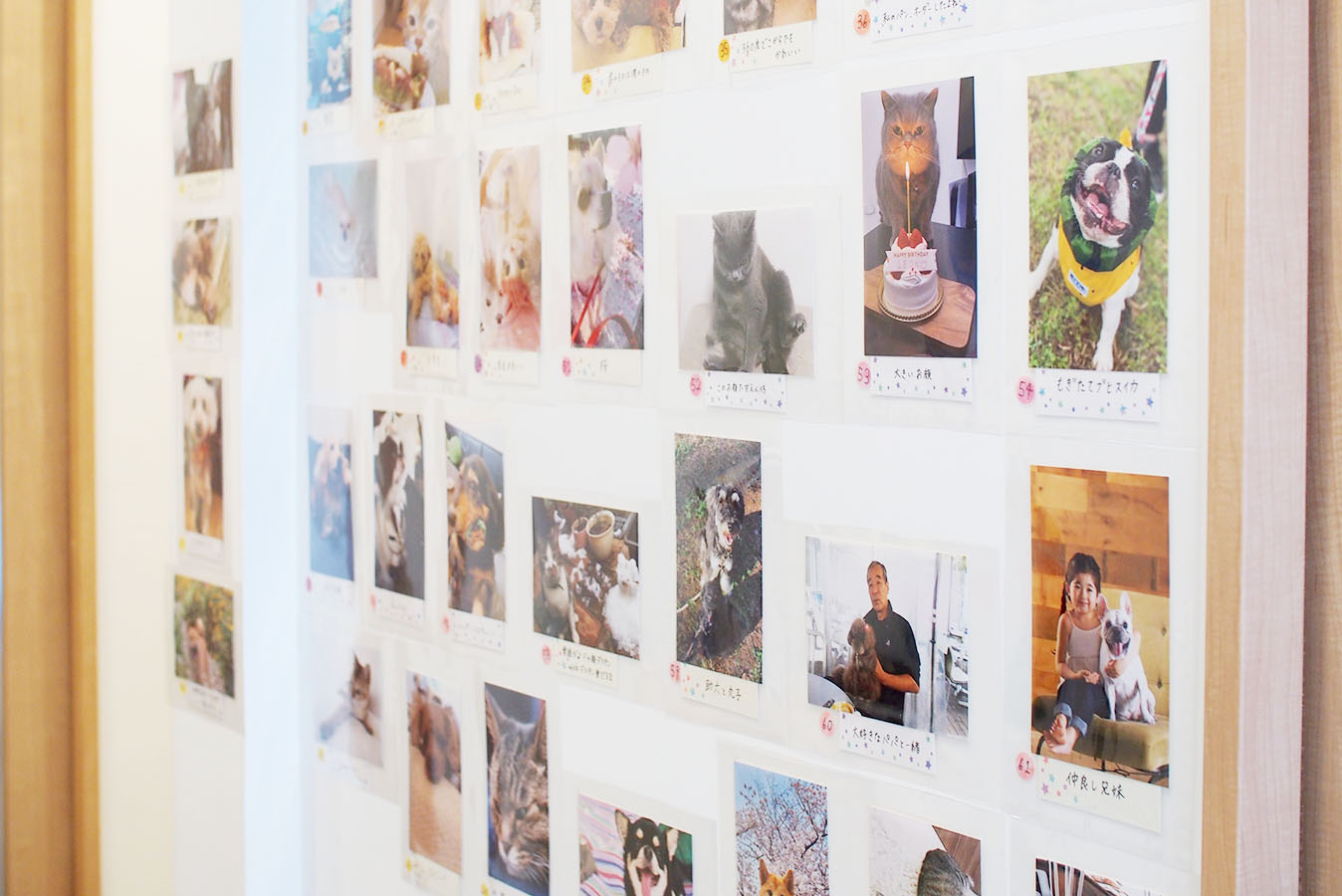 クリニック内にフォトコンテストの写真が飾られている様子