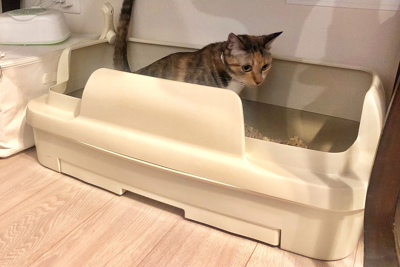 タムタムちゃんがニャンとも清潔トイレ「のびのびリラックス」を使っている様子