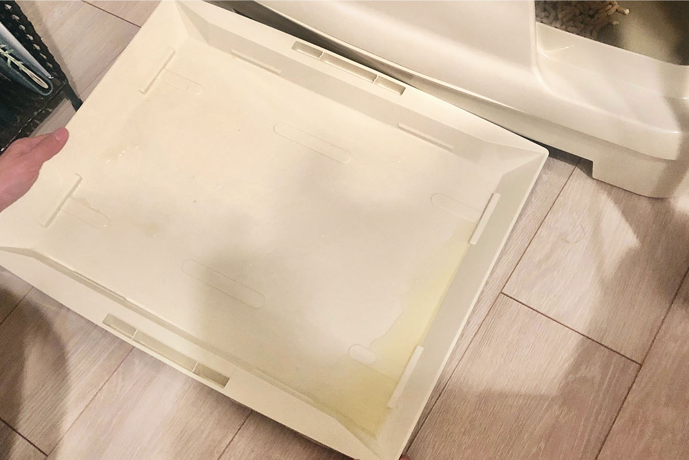 トイレのシートを外して、オシッコを溜めた様子