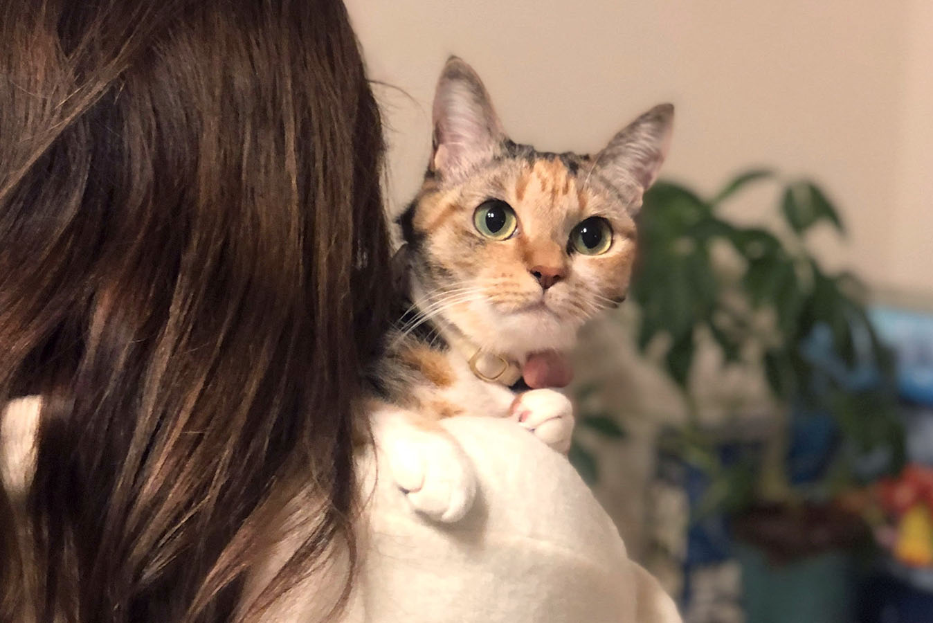 本間先生がタムタムちゃんを抱っこしている写真