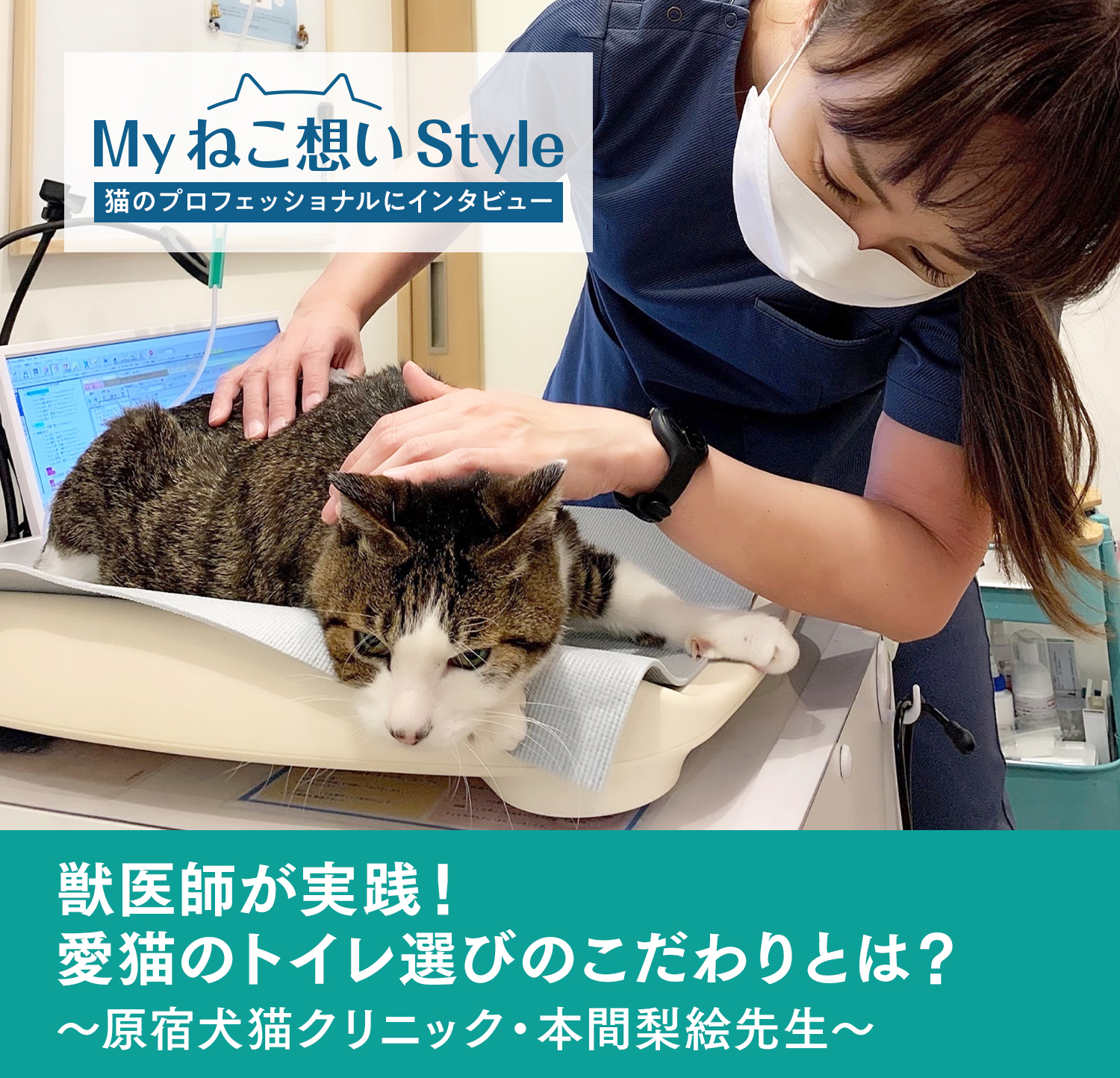 Myねこ想いStyle 猫のプロフェッショナルにインタビュー  獣医師が実践!愛猫のトイレ選びのこだわりとは? ~原宿犬猫クリニック・本間梨絵先生~