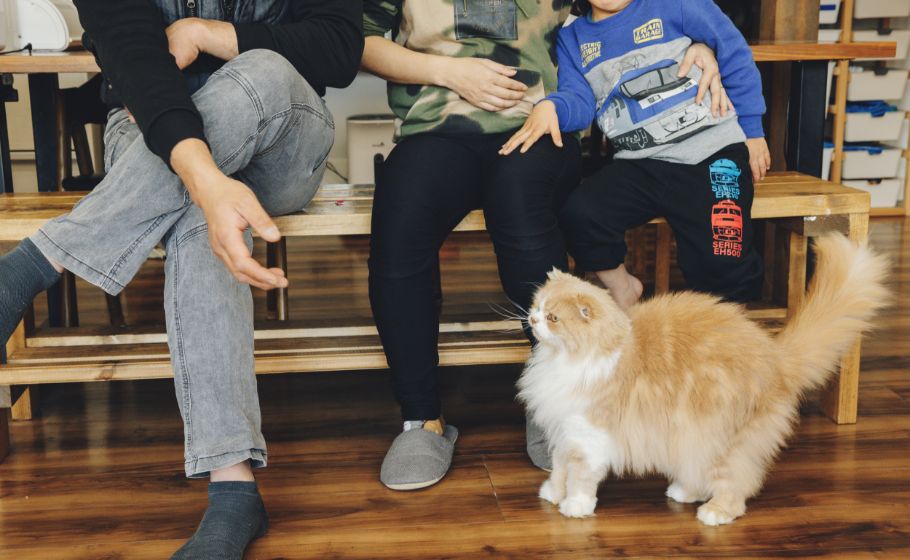 写真：shiratamaさんファミリー