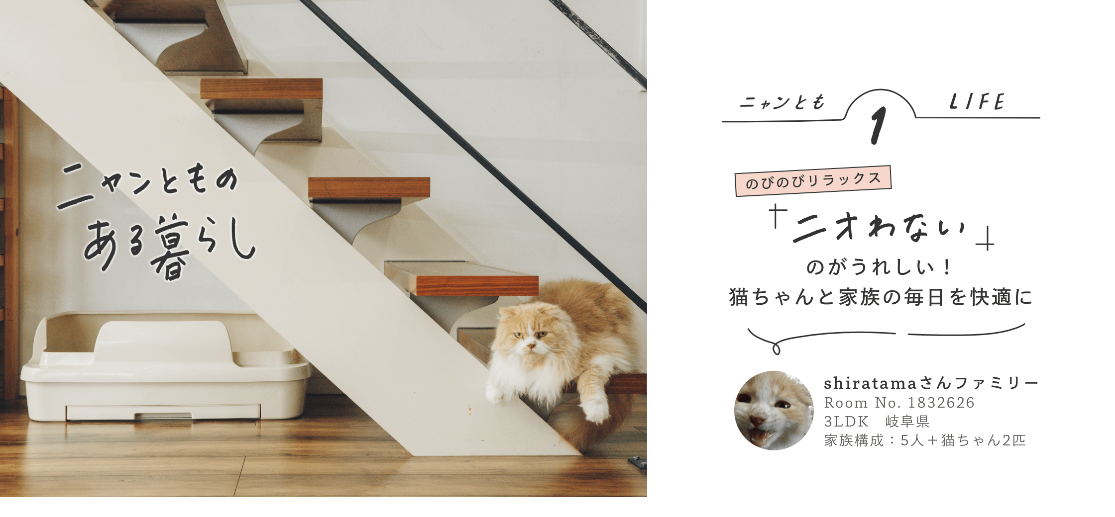 ニャンとものある暮らし ニャンともLIFE1 のびのびリラックス「ニオわない」のがうれしい！猫ちゃんと家族の毎日を快適に shiratamaさんファミリー／3LDK 岐阜県／家族構成5人＋猫ちゃん2匹／RoomClipユーザー Room No.1832626