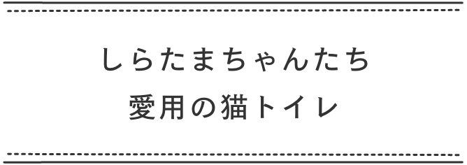 しらたまちゃんたち愛用の猫トイレ