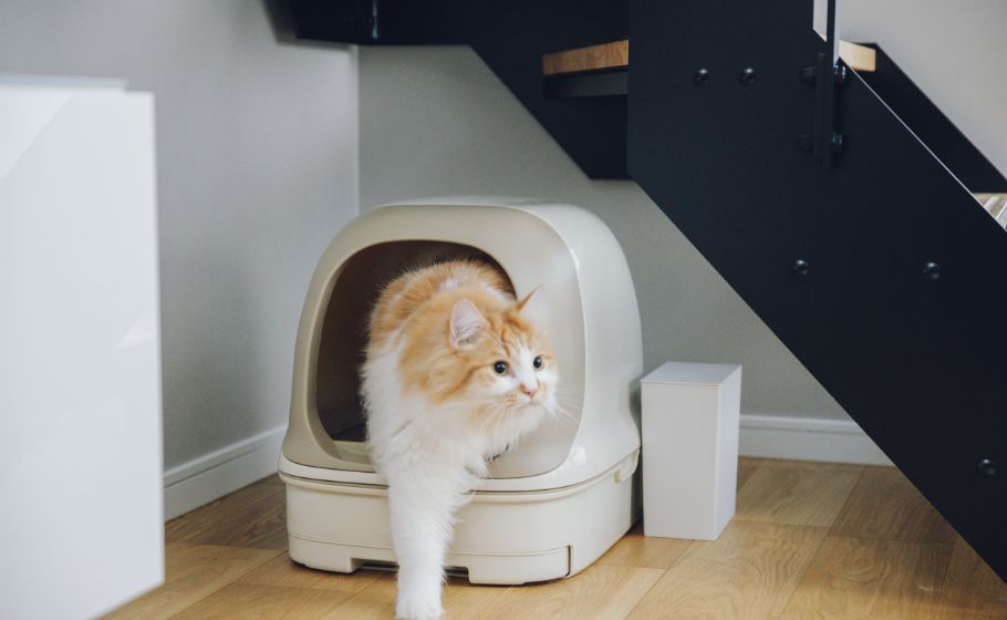 猫ちゃんとの暮らしとシンプル＆ミニマルは両立できる！｜ニャンともの