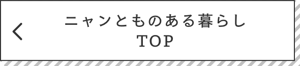 ニャンとものある暮らし TOPに戻る