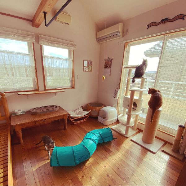 mako0301さん宅のニャンとも清潔トイレを置いているお部屋の写真