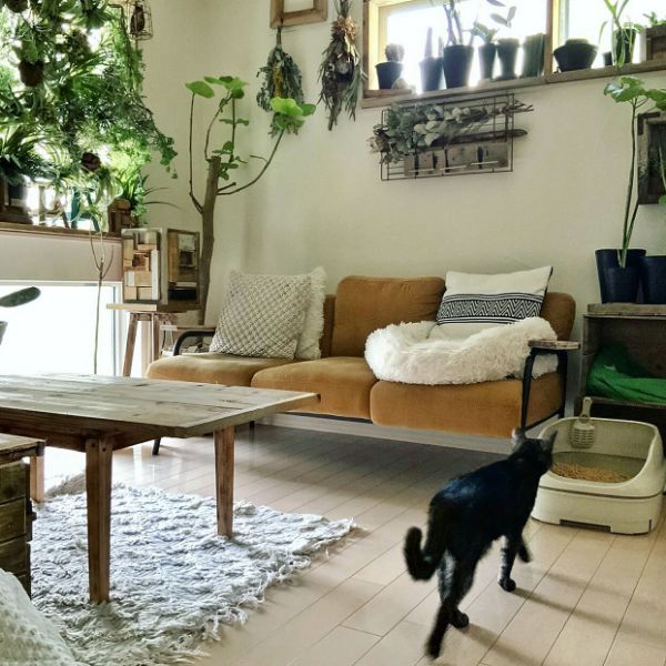 ugさん宅のニャンとも清潔トイレを置いているお部屋の写真