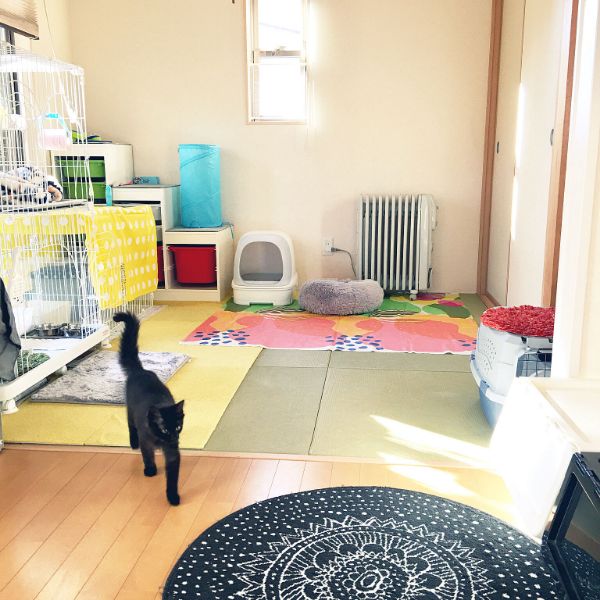 yu-さん宅のニャンとも清潔トイレを置いているお部屋の写真