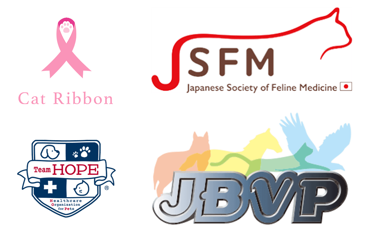 Team HOPE／JSFM／JBVP／キャットリボン運動
